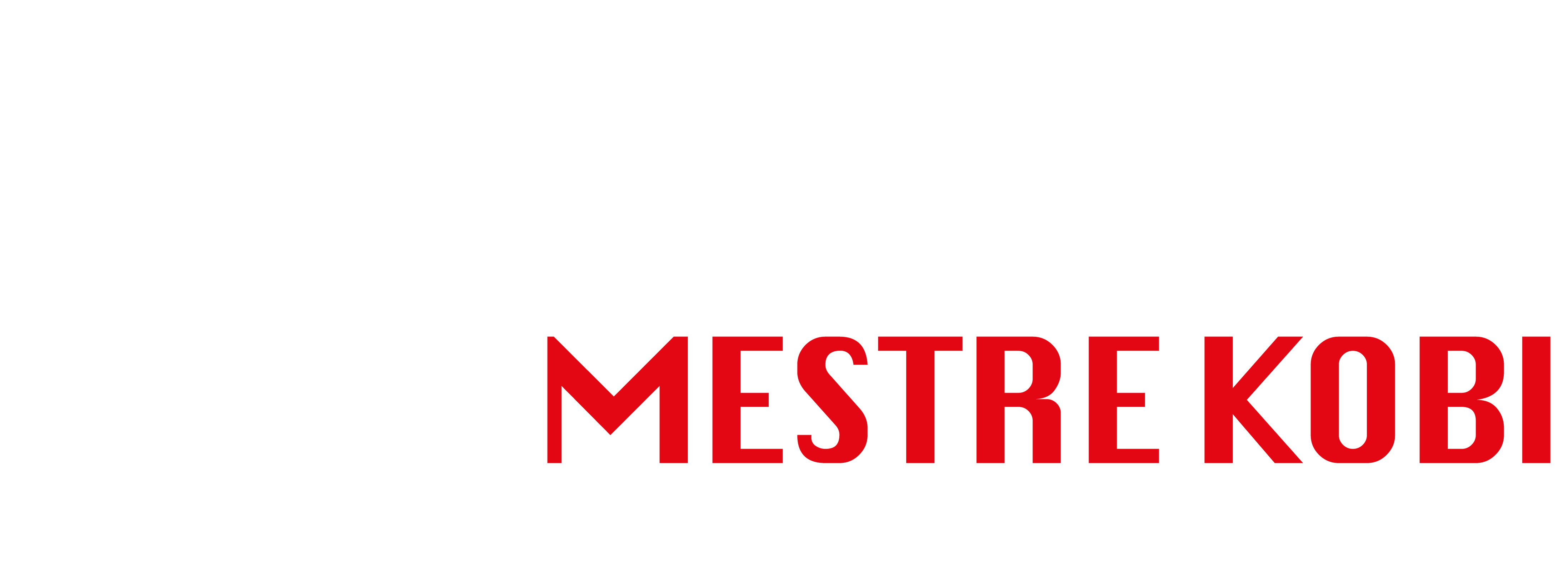 Krav Maga Mestre Kobi