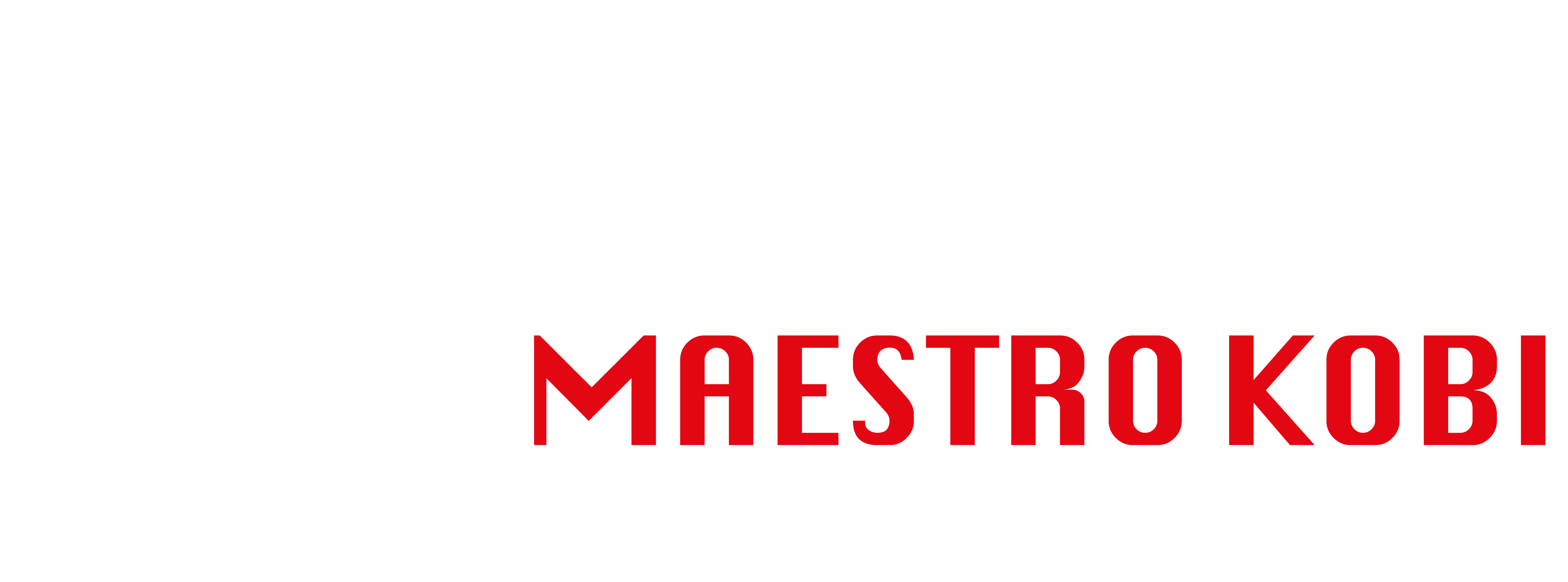 Krav Maga Mestre Kobi